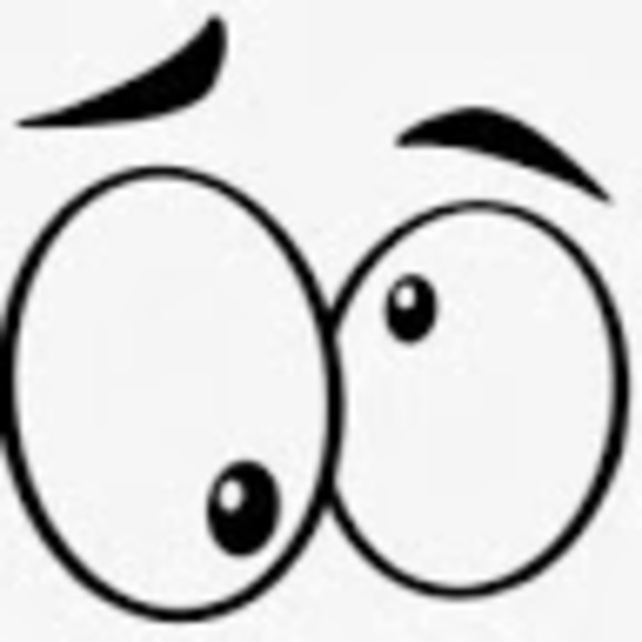 Meet your Posher, Deena - Picture 1 of 1